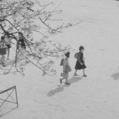 The Naked Island Japanese Movie photo