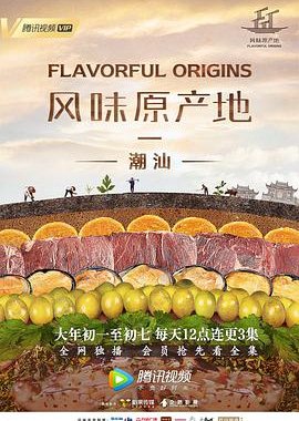Flavorful Origins: Season 1 (2019) poster