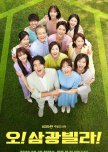 Homemade Love Story korean drama review