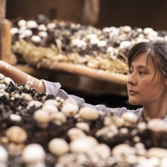 Minning Town Chinese Drama photo