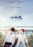 Little Doctor chinese drama review