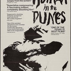 Woman in the Dunes Japanese Movie photo