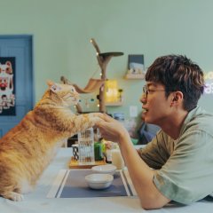 Fluffy Love Taiwanese Drama photo