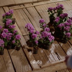 Star and Sky: Sky in Your Heart Thai Drama photo