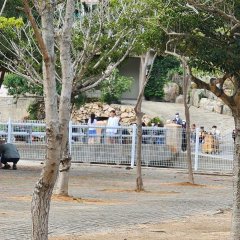 Summer Vacation Korean Drama(0000) photo