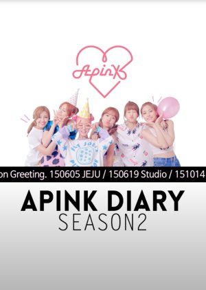 Apink Diary 2 Special: Season Greeting (2016) poster