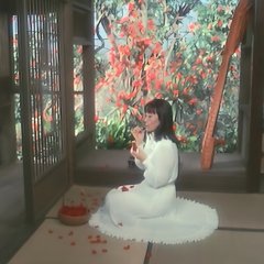 Diamonds Won't Hurt Japanese Movie photo