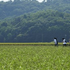 All the Things We Never Said Japanese Movie photo