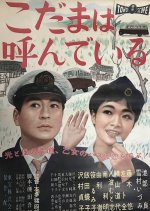 An Echo Calls You Japanese Movie photo