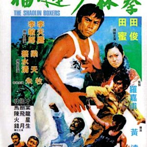 The Shaolin Boxer (1974)