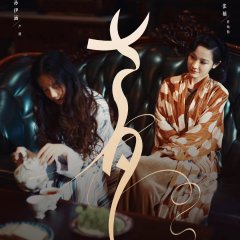 Couple of Mirrors Chinese Drama photo