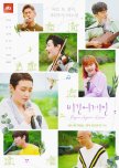Begin Again Season 4: Korea korean drama review