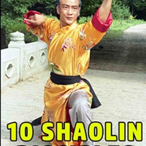 Shaolin Incredible Ten (1982)