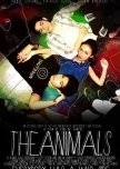 The Animals
