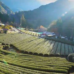 Tetsu Ota Michiko, 2 Man Kiro Japanese Drama photo