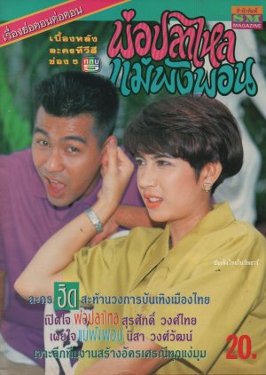 Por Pla Lai Mae Pang Pon (1991) poster