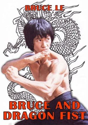Bruce and Dragon Fist (1981) poster