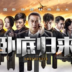 Under Cover Chinese Drama(2017) photo