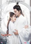 General's Lady chinese drama review