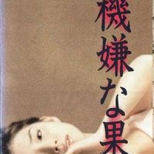 Fukigen na Kajitsu (1997)