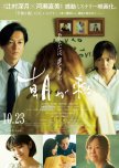 True Mothers japanese drama review