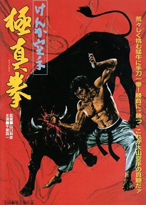 Karate Bullfighter (1977) poster