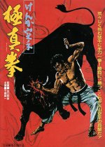 Karate Bullfighter Japanese Movie photo