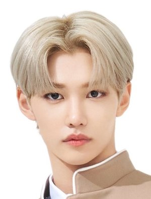 Felix (Stray Kids) profile, age & facts (2023 updated)