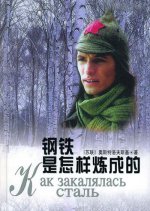 How the Steel Was Tempered Chinese Drama photo