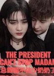 The President Can't Stop Madam Chinese Drama photo