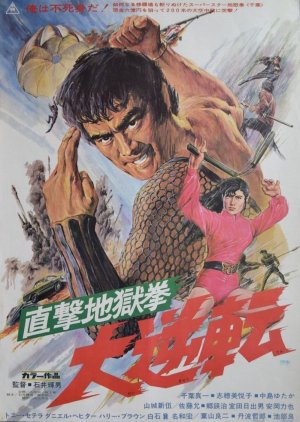 The Executioner 2: Karate Inferno (1974) poster