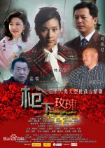 Mysterious Female Agent Chinese Drama photo