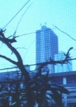 Devil's Circuit Japanese Movie photo