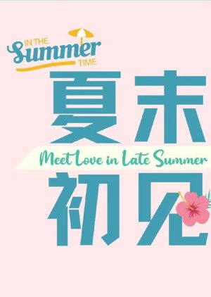 In the Summer Time () poster