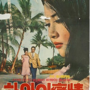 Hawaii Love Affair (1967)