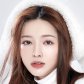 Zhang Jie