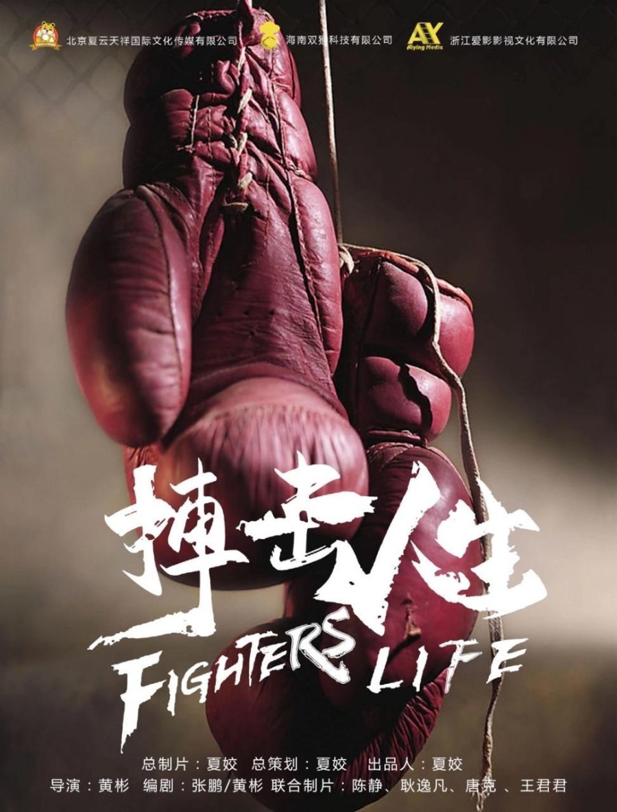 Fighter's Life (2021) - MyDramaList