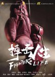 Fighter's Life