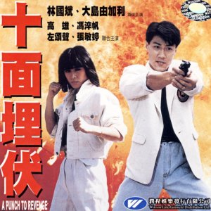 A Punch to Revenge (1989)