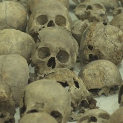 206: Unearthed Korean Movie photo