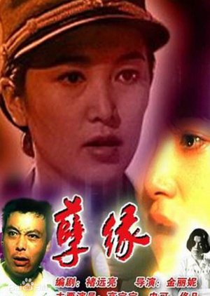 Nie Yuan (1995) poster