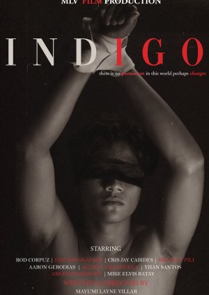 Indigo (2022) poster