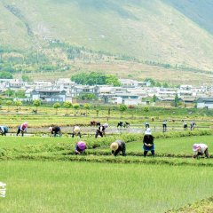 The Sound of Da Li Chinese Movie photo