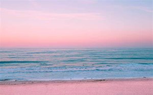 imanimoogibutwithoutafox