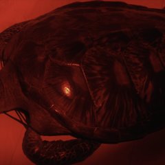 Frame and Matter Korean Movie photo