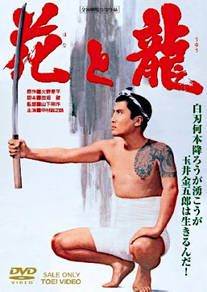 The Flower and the Dragon (1965) poster