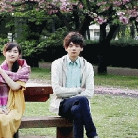 Kamisama no Boto  (2013)