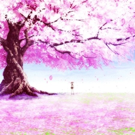 Kamisama no Boto  (2013)