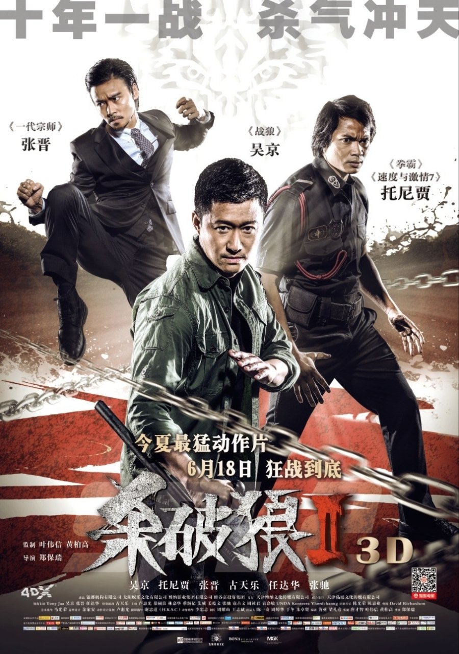  Kill Zone 2 : Jing Wu, Tony Jaa, Simon Yam, Cheang Pou-Soi:  Movies & TV