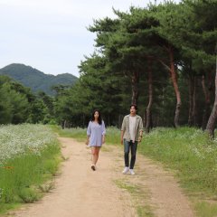 Days of Green Korean Movie photo